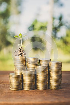 Plant growing out of coins