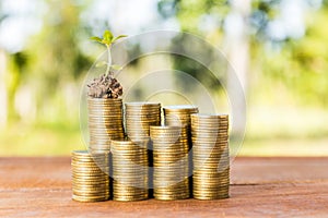 Plant growing out of coins