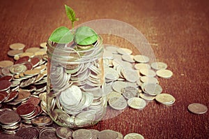 Plant growing out of coins