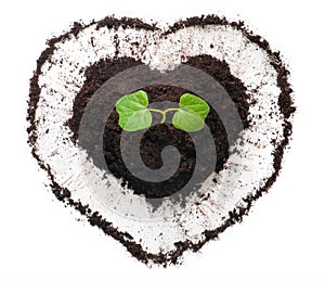 Plant growing out of a heart shaped soil.