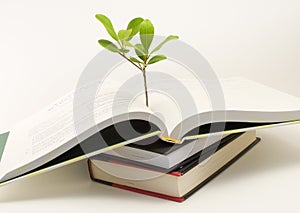 Plant growing out of open book