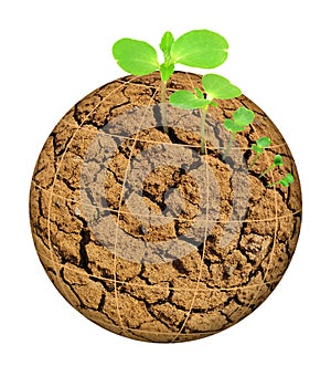 Plant growing out of parched planet, evolution con photo