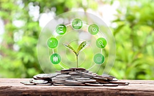 Plant growing on pile of coins and business financial growth icon. money saving concept