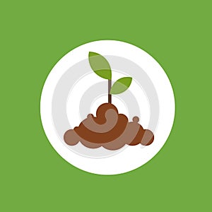 Plant growing. Planting tree icon. Sprout, plant, tree growing agriculture. Vector illustration in flat style.