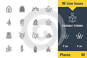 Plant Growing, Plants Foliage Leaf. Thin line icon - Outline flat vector illustration. Editable stroke pictogram. Premium quality