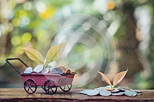 Plant growing in saving coins in the wheel barrow for business concept