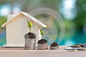 Plant Growing In Savings Coins. Money coin stack growing graph for the Real Estate business.