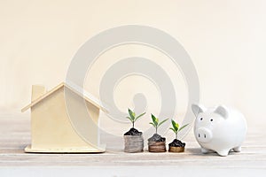 Plant Growing Savings Coins with piggy. Money coin stack growing graph for the Real Estate business.