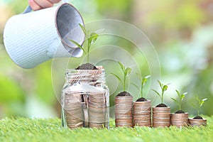 Plant growing on stack of coins money and glass bottle on natural green background, Interest rates and Business investment concept