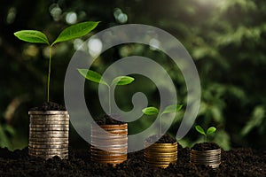 Plant growing step with coins stack on dirt and sunshine in nature morning light. concept saving money