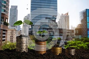 Plant growing step with coins stack on dirt and sunshine in nature morning light. concept saving money. and city