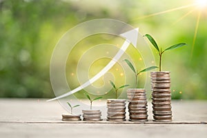 The plant grows on a coin in a glass jar with a green bokeh background and an arrow pointing up icon means the growth spurt.