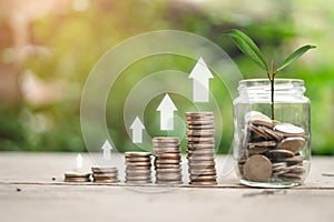 The plant grows on a coin in a glass jar with a green bokeh background and an arrow pointing up icon means the growth spurt.