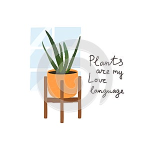 Plant grows in pot and Plants are my love language slogan.