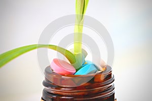 Plant growth from the bottle with tablets