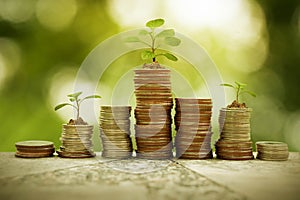 Plant growth on coin pile, business concept