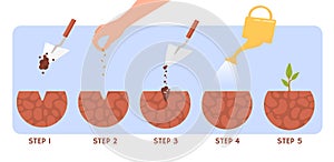 Plant growth process vector concept