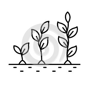 Plant growth stages, from sprout to flower, isolated line icon