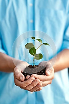 Plant, growth and sustainability with hands holding a budding flower in soil closeup for conservation. Earth, spring or