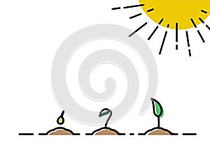 plant growth. Vector illustrations with phases plant growth. Outline