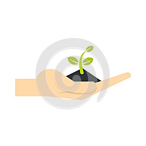 Plant in hand icon, flat style