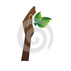 Plant with hand isolated icon