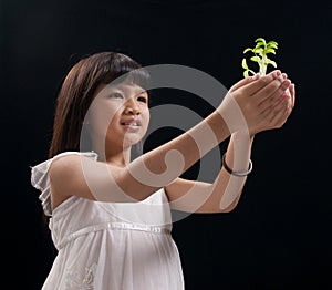 Plant in hands of a little girl