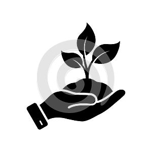 Plant in Human Hand Silhouette Icon. Growth Eco Tree Environment Glyph Pictogram. Ecology Organic Seedling Sign. Flower