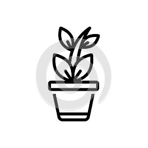 Black line icon for Plant, foliage and tree photo