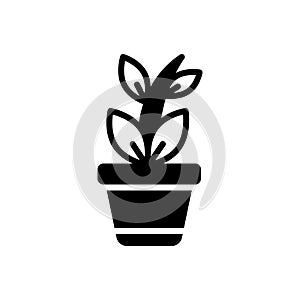 Black solid icon for Plant, tree and herb photo