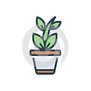 Color illustration icon for Plant, tree and greenstuff