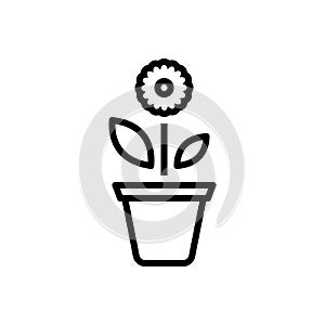 Black line icon for Plant, foliage and greenstuff