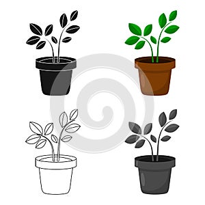 Plant icon of vector illustration for web and mobile