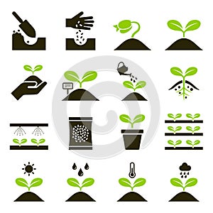 Plant icons. Vector Illustrations.