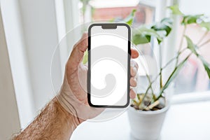 Plant identifier app mockup, man holding smartphone with blank white touchscreen in front of the potted house plant