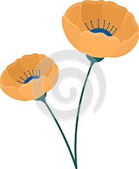 plant illustration, orange petaled flowers blooming beautifully