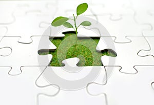 Plant jigsaw