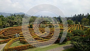 Plant Labirin taman bunga Nusantara photo