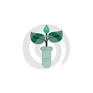 Plant in laboratory glass flat icon