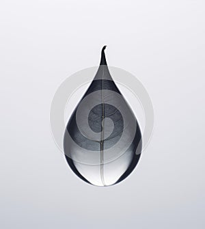 Plant leaf in a shape of a water drop. Life, nature conceptual background.