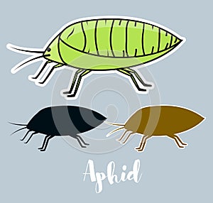 Plant Lice Insects Vector