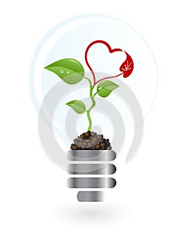 Plant in lightbulb