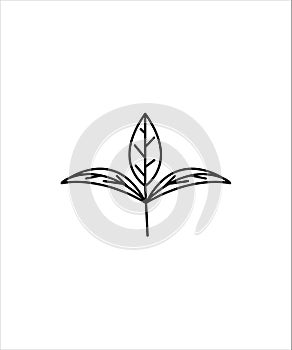 Plant line icon,plant simple design line icon,vector best illustration design icon.