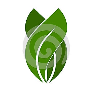 Plant logo.Plant vector icon illustration