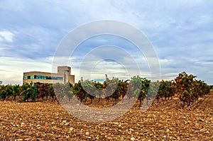 Plant for making wine and jamon in Olite, Navarre of Spain photo