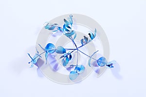 Plant minimalism inverted color decor blue stem