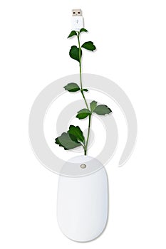 Plant mouse