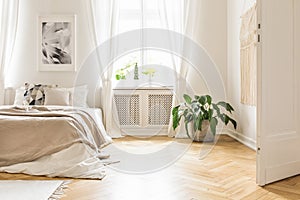 Plant near bed with blanket in white bedroom interior with poste