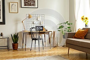 Plant next to chair and desk with lamp and laptop in flat interior with couch. Real photo