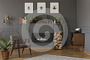 Plant next to grey armchair in warm apartment interior with fire